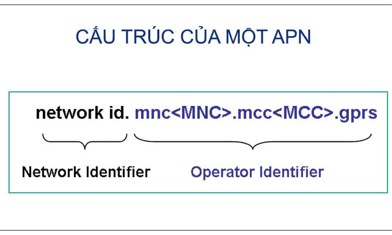 Cấu trúc của APN