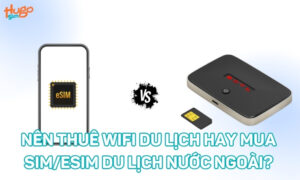 Nên thuê wifi du lịch hay mua sim/esim du lịch nước ngoài?
