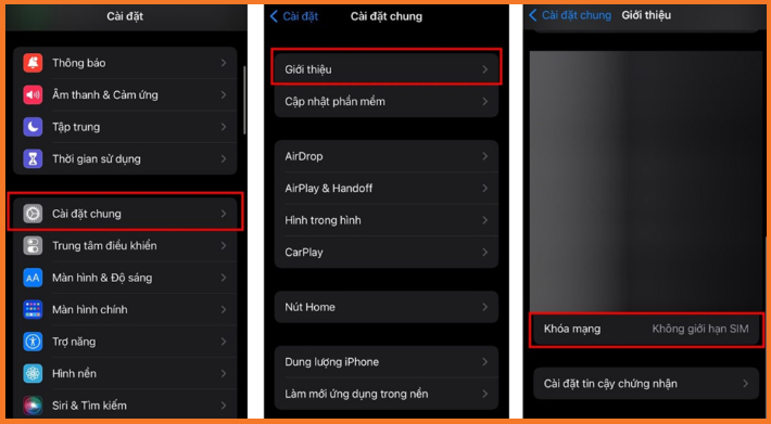 Kiểm tra điện thoại có eSIM không trên Iphone