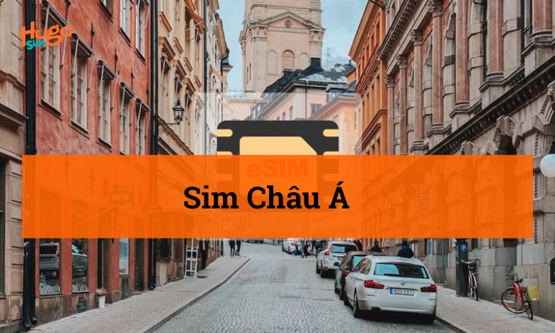 Sim Châu Á