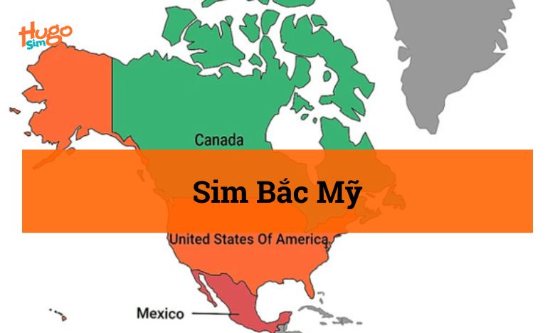 Sim Bắc Mỹ