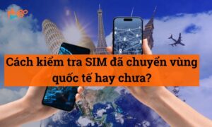 Cách kiểm tra SIM đã chuyển vùng quốc tế hay chưa? Xem ngay!