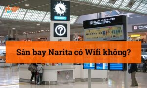 Sân bay Narita có Wifi không? Hướng dẫn kết nối tiện lợi nhất