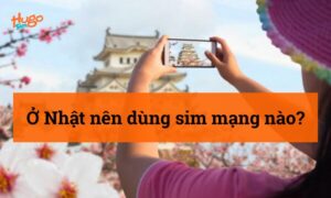 Ở Nhật nên dùng sim mạng nào? Tổng hợp nhà mạng uy tín