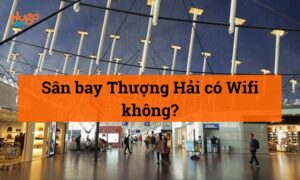 Sân bay Thượng Hải có Wifi không? Mẹo kết nối hiệu quả
