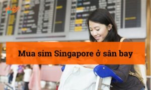 Kinh nghiệm mua sim Singapore ở sân bay từ A-Z