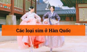 Tổng hợp các loại sim ở Hàn Quốc phổ biến nhất hiện nay