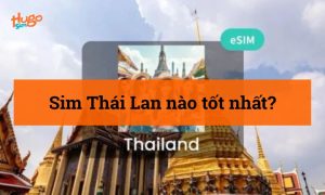 Sim Thái Lan nào tốt nhất? HugoSim giải đáp