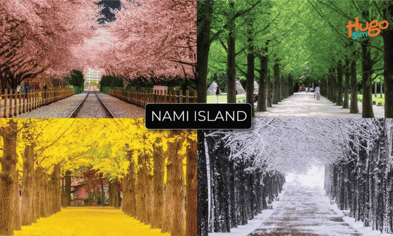 Khám phá kinh nghiệm du lịch đảo Nami Hàn Quốc: cách đi từ Seoul, giá vé, thời điểm lý tưởng và những lưu ý cần biết khi tham quan đảo Nami.