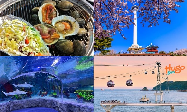 Địa điểm tham quan nổi bật ở Busan