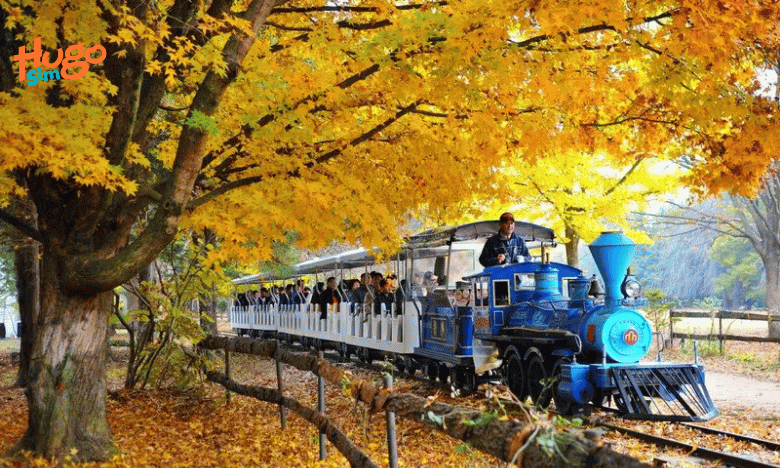 Hướng dẫn chi tiết cách đi đảo Nami từ Seoul