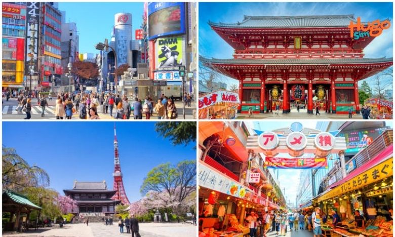 Khám phá các khu vực & điểm tham quan nổi bật ở Tokyo