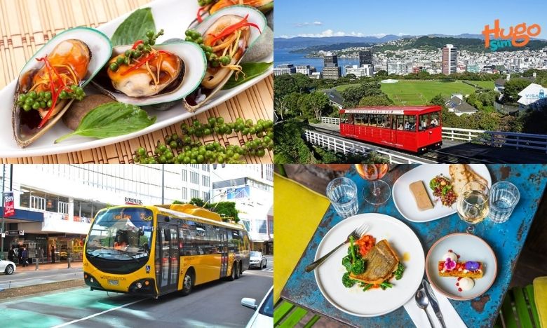 Phương tiện di chuyển và kinh nghiệm ăn uống ở New Zealand